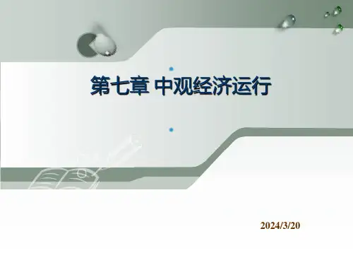 第七章 中观经济运行