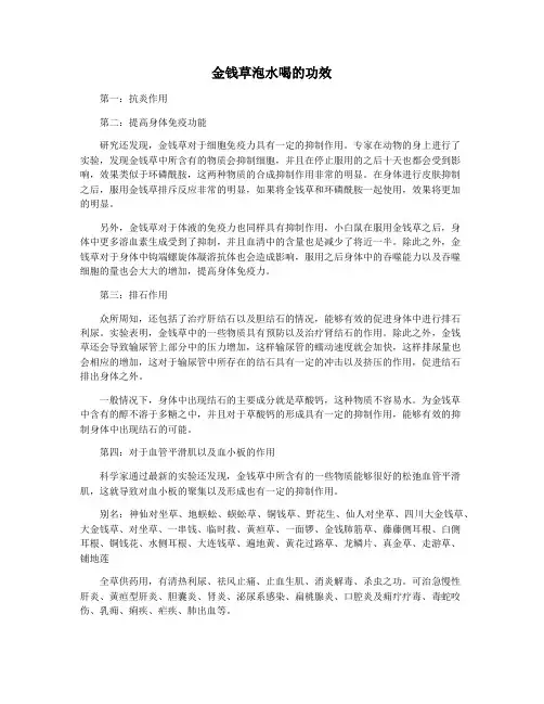 金钱草泡水喝的功效