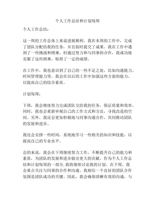 个人工作总结和计划每周