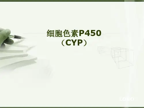 细胞色素P450