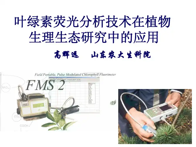叶绿素荧光技术的应用