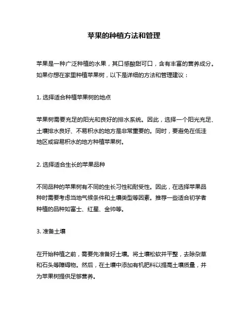 苹果的种植方法和管理