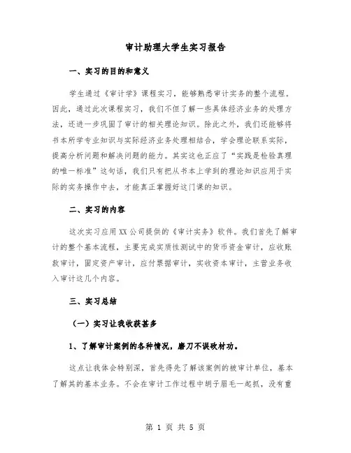 审计助理大学生实习报告（2篇）