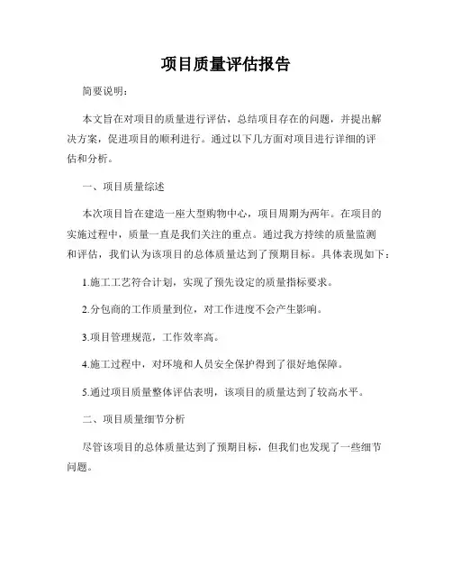 项目质量评估报告