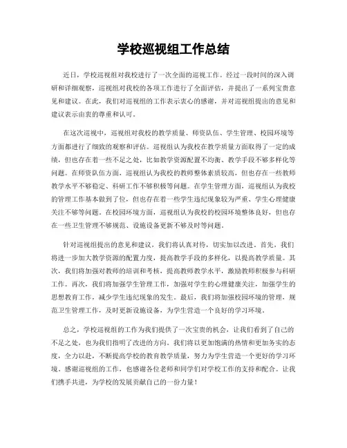 学校巡视组工作总结