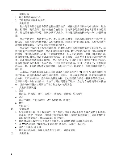 实验报告脂类的化学——苏丹三染色