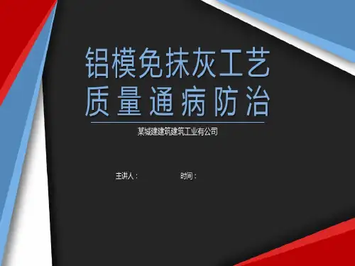 铝模免抹灰工艺质量通病防治ppt课件.ppt
