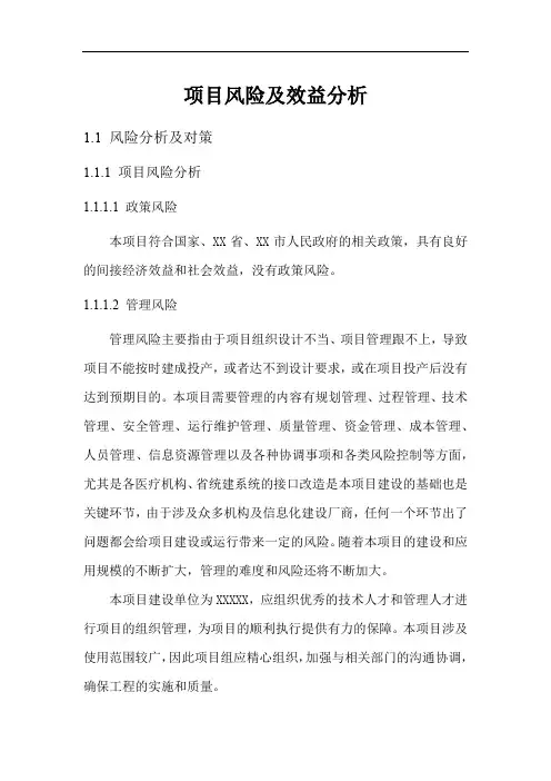项目风险及效益分析方案