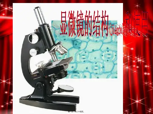 七年级科学《显微镜的使用》课件