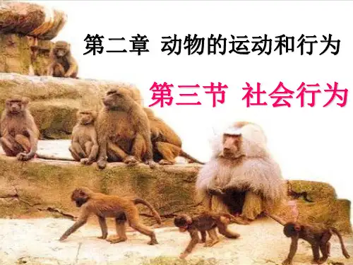 第二章 动物的运动和行为