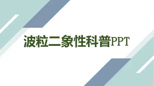 波粒二象性科普