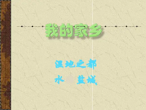 江苏盐城介绍PPT