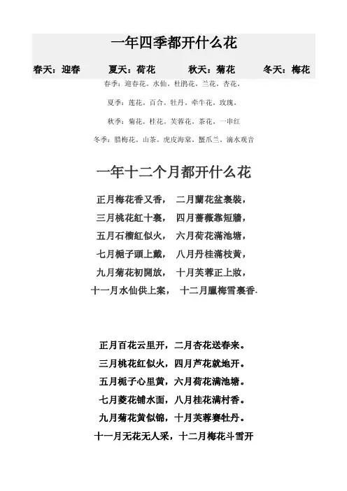 一年四季都开什么花