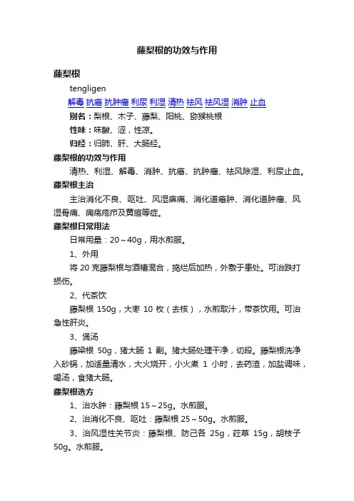 藤梨根的功效与作用
