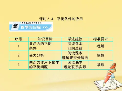 鲁科版高中物理必修一教学课件：第5章 5.4