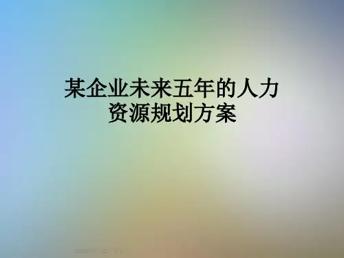 某企业未来五年的人力资源规划方案
