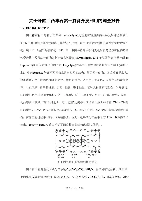 关于盱眙凹凸棒石黏土资源开发利用的调查报告