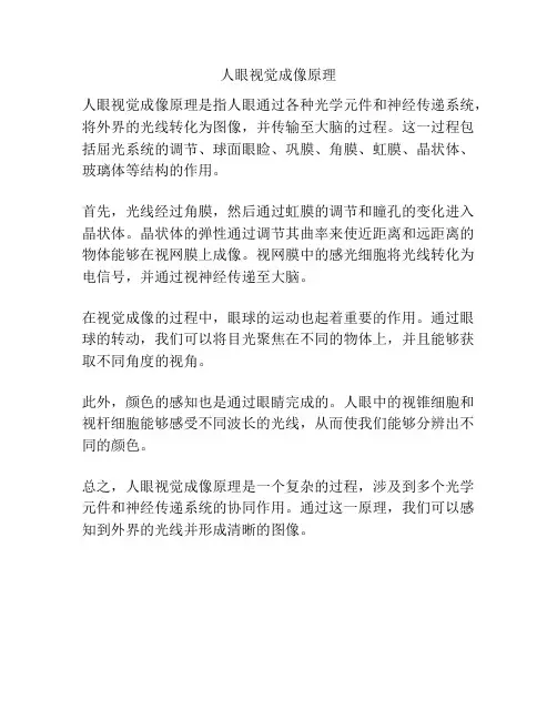 人眼视觉成像原理