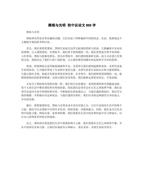 黑暗与光明 初中议论文800字