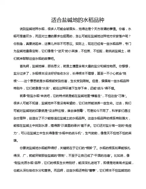 适合盐碱地的水稻品种