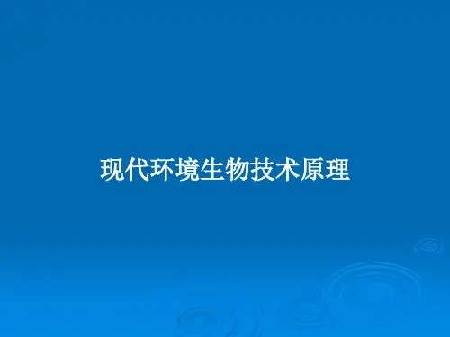 现代环境生物技术原理PPT教案