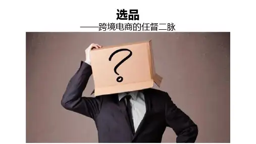 亚马逊选品课程PPT