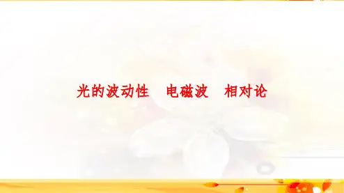 2020高考物理专题复习光的波动性 电磁波 相对论PPT课件