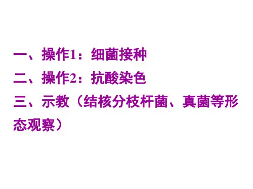 细菌接种 抗酸染色 结核分枝杆菌真菌等形态观察PPT课件