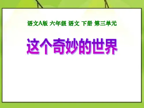 【小学课件】《这个奇妙的世界》优质PPT课件3