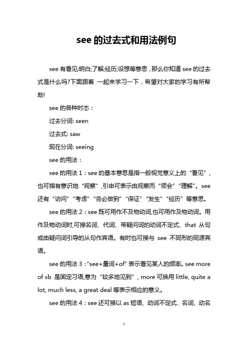 see的过去式和用法例句