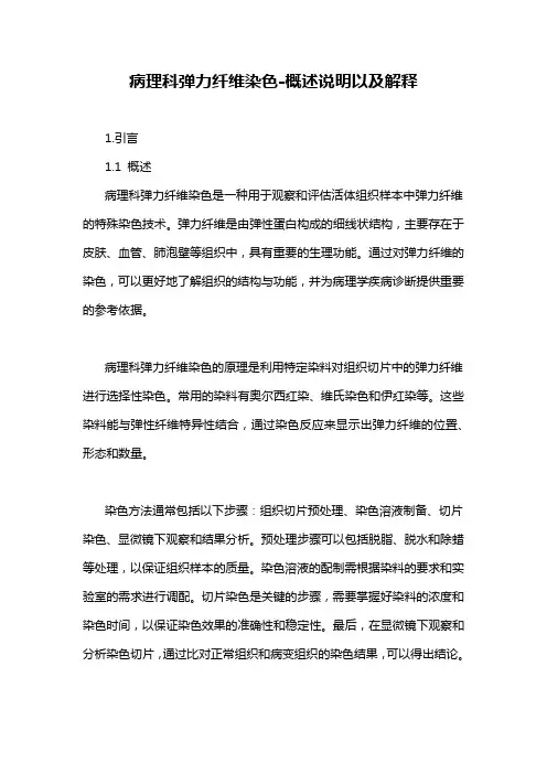 病理科弹力纤维染色-概述说明以及解释