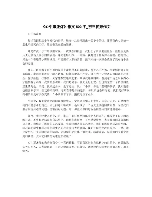 《心中那盏灯》作文800字_初三优秀作文