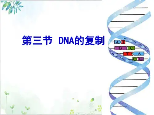 人教版高中生物必修二《DNA的复制》(36张)-PPT优秀课件