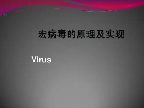 宏病毒