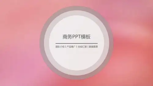 团队介绍产品推广总结汇报通用PPT模板