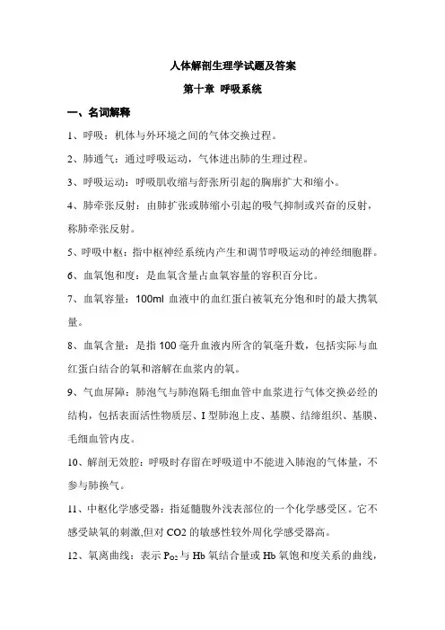 人体解剖生理学试题及答案(四)