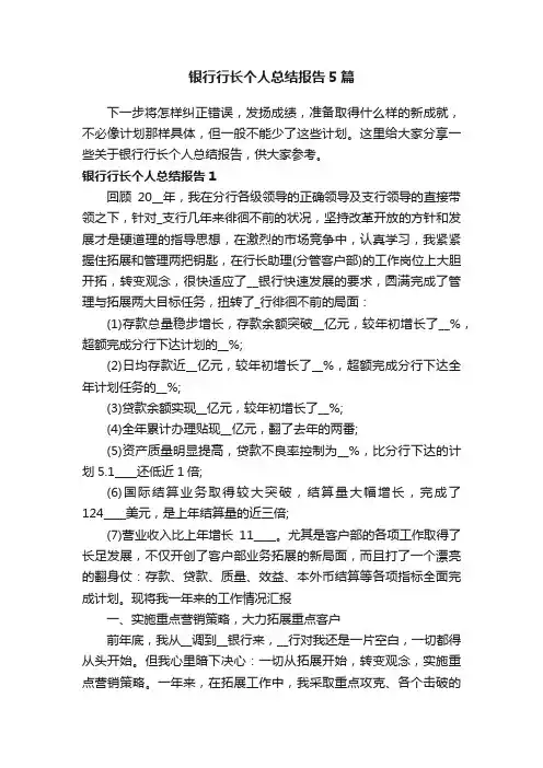 银行行长个人总结报告5篇