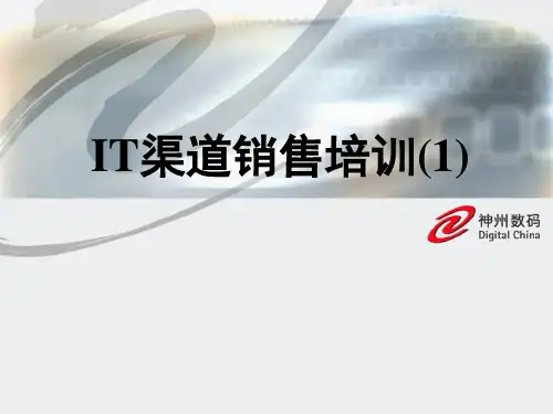 神州数码_IT渠道销售培训资料