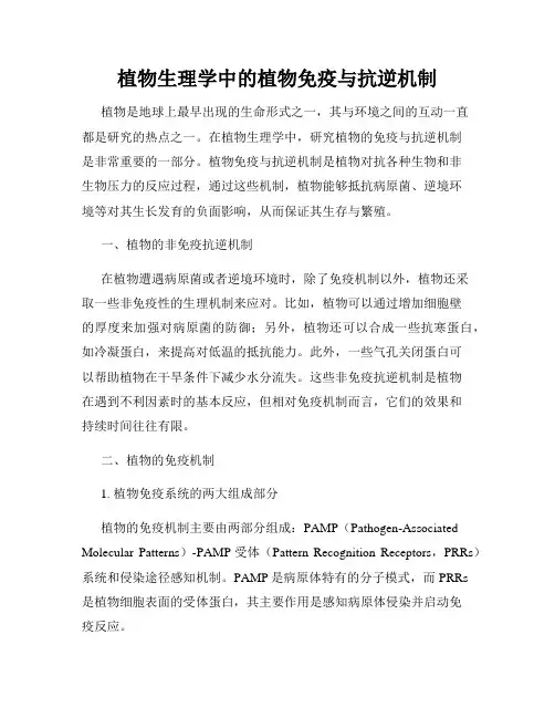 植物生理学中的植物免疫与抗逆机制