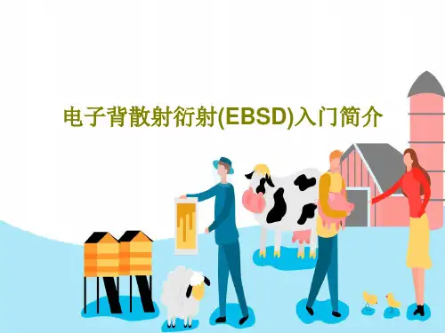 电子背散射衍射(EBSD)入门简介PPT共73页