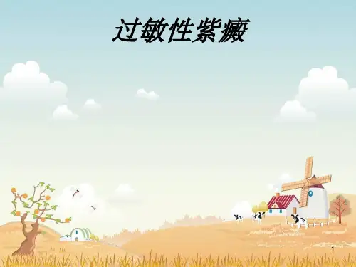 过敏性紫癜 PPT课件