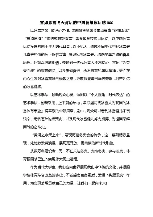 雪如意雪飞天背后的中国智慧读后感300