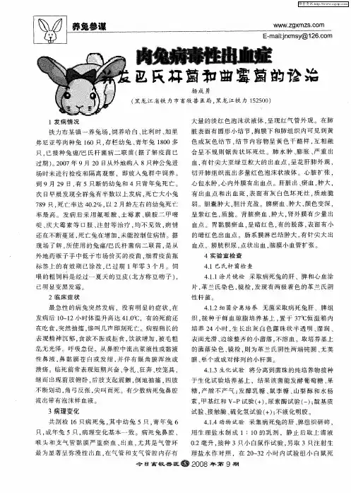 肉兔病毒性出血症并发巴氏杆菌和曲霉菌的诊治