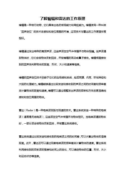 了解蝙蝠和雷达的工作原理