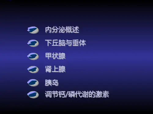 (11)内分泌_PPT幻灯片