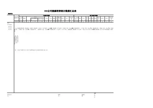 公司经济普查基本单位及能源消费汇总表