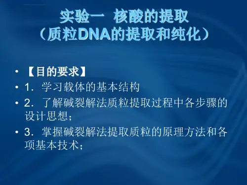 实验一核酸的提取ppt课件