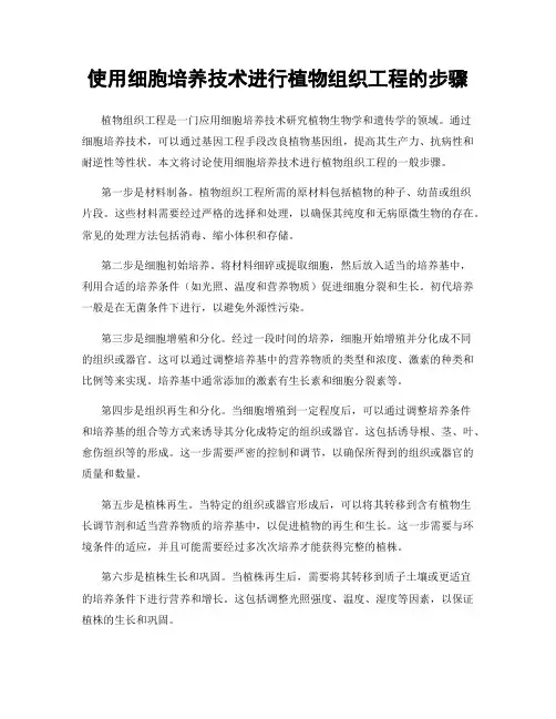 使用细胞培养技术进行植物组织工程的步骤