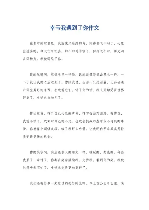 幸亏我遇到了你作文