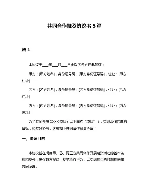 共同合作融资协议书5篇